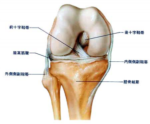 acl1